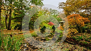 Beautiful autumnal colours in the Japenese garden in park Clingendael, The Hague, Netherlands