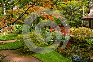 Beautiful autumnal colours in the Japenese garden in park Clingendael, The Hague, Netherlands