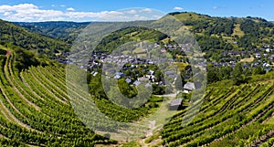 Aveyron village in France with freen grapes- Marcillac Vallon