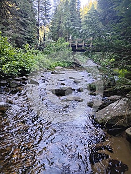 Beautiful babbling brook