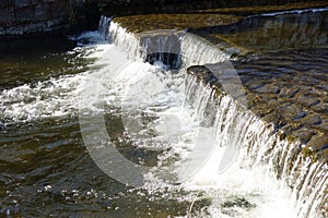 The babbling brook of the shining forest