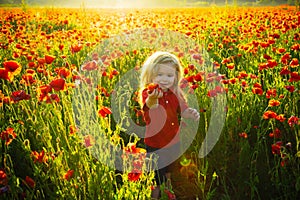 Beautiful baby child with red flowers. Little symbol of love. Family and happiness. Boy in the field.