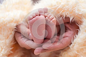 Beautiful baby feet in the palms of the father