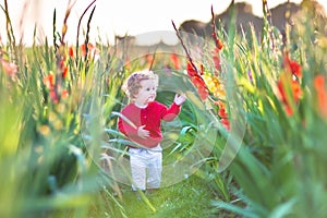 Beautiful baby girl in gladiolus field at sunset