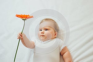 Beautiful baby holding a flower on white background