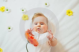 Beautiful baby holding a flower on white background