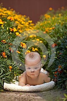 Beautiful baby lying on the towel at the park.