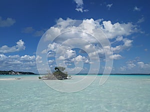 Beautiful Bacalar Lagoon