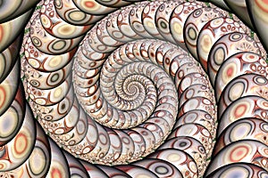 Beautiful Background abstract Illustration Multi color fractal spiral shell lines effect for creative graphic design, imagination