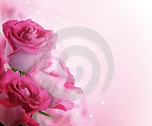 Beautiful background with flowers roses