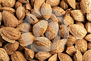 beautiful background with inshell almonds