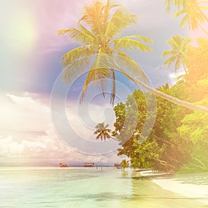 Beautiful background of paradise island - landscape of tropical beach - calm ocean, palm trees, blue sky