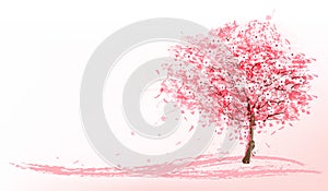 Beautiful background with a pink blooming sakura tree.