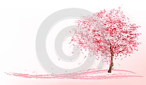 Beautiful background with a pink blooming sakura tree. photo