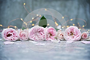 Beautiful background of pink roses, petals. Place for text.