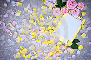 Beautiful background of pink roses, petals. Place for text.