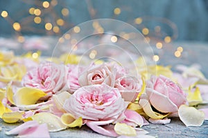 Beautiful background of pink roses, petals. Place for text.