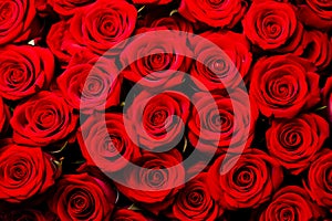 Beautiful background with red roses for ValentineÂ´s day. Generative AI photo