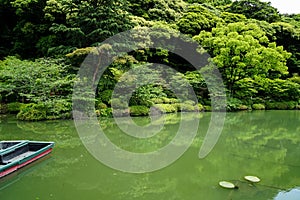 Beautiful background scene of lush green japanese garden mountain landscape with shades of green plant, boat, lotus pond, etc.