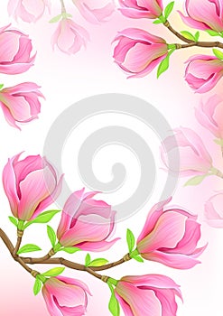 Beautiful background with spring magnolia branch