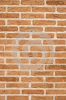 Beautiful background and texture formed by bricks