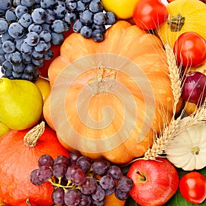 Beautiful background from various vegetables and fruits