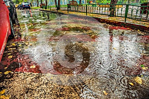 Beautiful background of wet asphalt with raindrops.