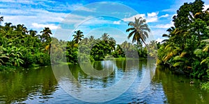 Beautiful backwaters of Alleppey, Kerala, India