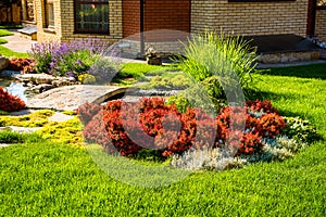 Beautiful backyard landscape design. View of colorful trees and decorative trimmed bushes rocks