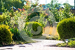 Beautiful backyard landscape design. View of colorful trees and decorative trimmed bushes rocks