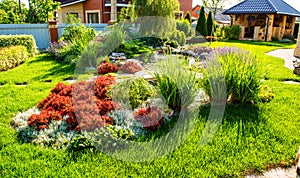 Beautiful backyard landscape design. View of colorful trees and decorative trimmed bushes rocks