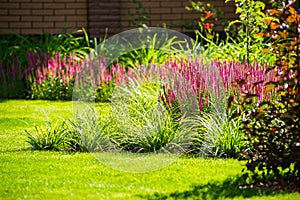 Beautiful backyard landscape design. View of colorful trees and decorative trimmed bushes rocks