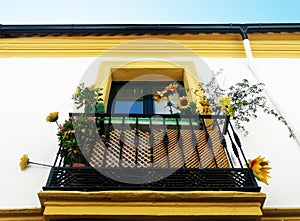 Beautiful Balcony in Cordoba