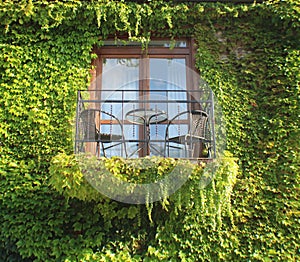 Beautiful balcony with green ivy