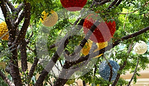 Beautiful ball and flower decorations hanging in trees