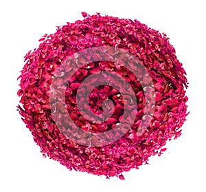 Beautiful ball shaped pink/red bush isolated on white background