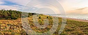 Beautiful Baltic Sea coastline in DarÃâÃÂ³wko, Poland. Panoramic view at pine forest, sand dunes covered with grass, sandy beach