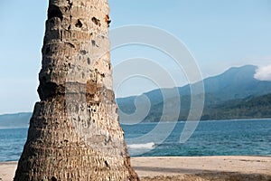 Beautiful banana island beach with clean sand photo