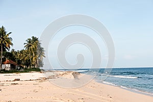 Beautiful banana island beach with clean sand photo