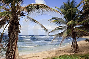 Beautiful Barbados Beach