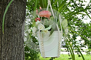 Beautiful basket flower pot hanging on the tree in the garden in the summer
