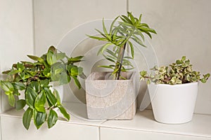 Beautiful bathroom white tiled shelf