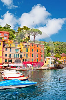 Beautiful bay with colorful houses in Portofino,  Liguria, Italy