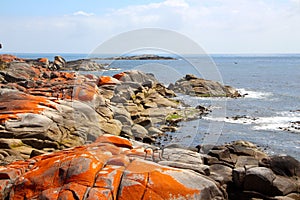 The beautiful bay of fires on the east coast of Tasmania