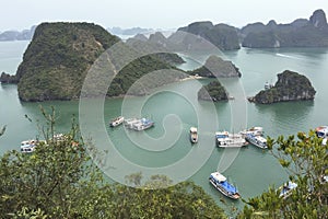 A beautiful bay with many boats in the sea in Ha Long Bay Hanoi Vietnam photo