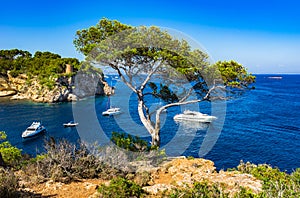 Beautiful bay of Portals Vells on Majorca Spain Mediterranean Sea photo