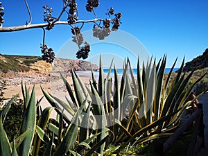 Beautiful bay, Praia do Zavial, near Vila do Bisco. Holiday in the Algarve in Portugal.