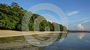 Beautiful Beach in Andamans