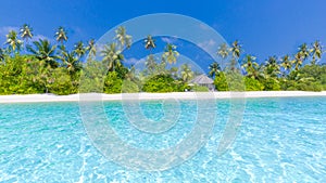 Beautiful beach banner. Tropical nature scene. Palm trees and blue sky. Summer holiday and vacation concept.