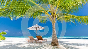 Beautiful beach banner. Tropical nature scene. Palm trees and blue sky. Summer holiday and vacation concept.